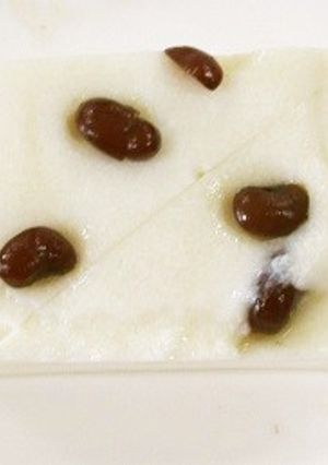 水無月豆腐-レシピのメイン写真