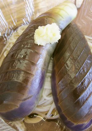 【使いきり】なすそうめん-レシピのメイン写真