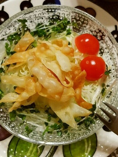 ☆餃子の皮があまったらサラダのトッピング-レシピのメイン写真