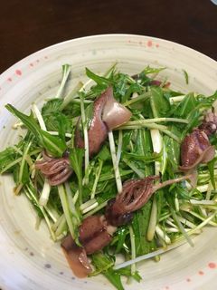 わさびが◎ ホタルイカと水菜のサラダ-レシピのメイン写真