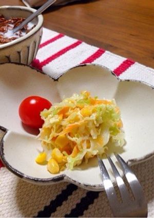 覚書用★ズボラーの簡単コールスローサラダ-レシピのメイン写真