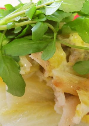 豚肉と白菜の重ね蒸し焼き（チーズ入り）-レシピのメイン写真