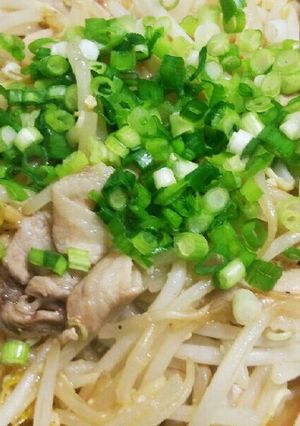 豚バラともやしの味噌炒め-レシピのメイン写真