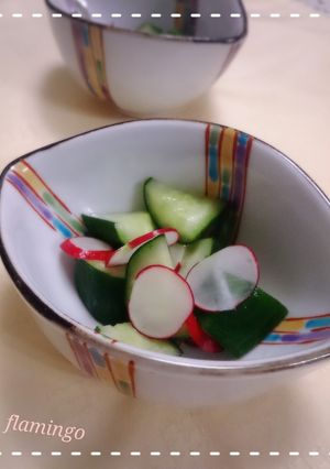 5分！きゅうりとラディッシュの昆布茶和え-レシピのメイン写真