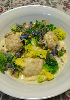 豆腐肉団子の豆乳クリーム煮プチベール入り-レシピのメイン写真