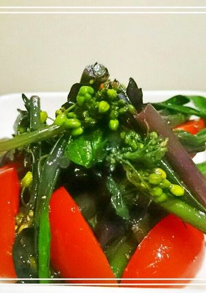 お野菜おかず：紅菜苔(紅苔菜)の塩和え-レシピのメイン写真