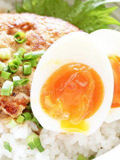 ふわふわヘルシーつくね丼-レシピのメイン写真