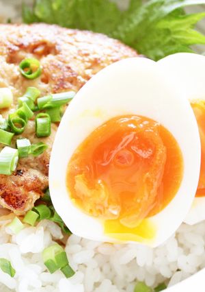 ふわふわヘルシーつくね丼-レシピのメイン写真