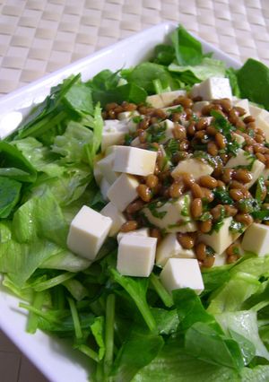 納豆ドレッシングでお豆腐のサラダ-レシピのメイン写真