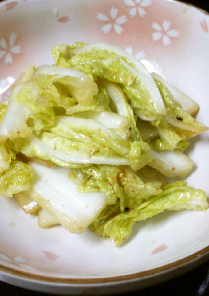 白菜の中華風浅漬け-レシピのメイン写真