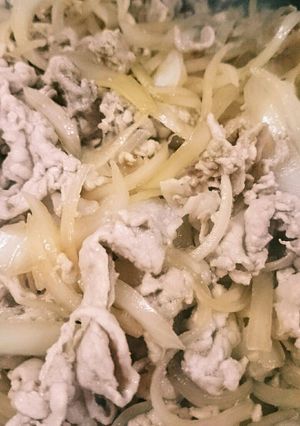 豚丼☆作り置き簡単おかず&弁当&リメイク-レシピのメイン写真