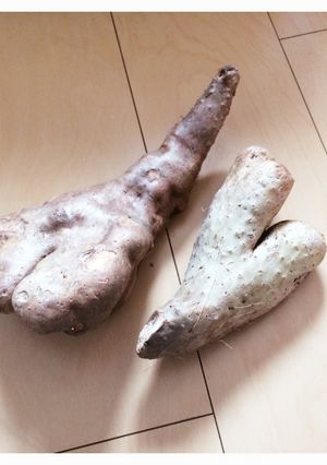 山芋の簡単で安全なむき方(覚書)-レシピのメイン写真