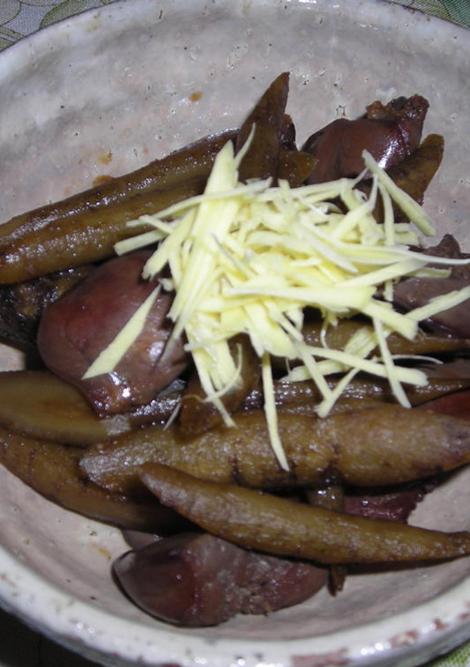 鶏レバーとごぼうの煮物-レシピのメイン写真
