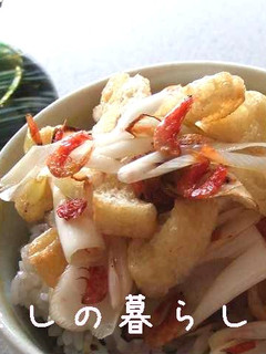 忙しい朝に!ネギと油あげのせご飯-レシピのメイン写真