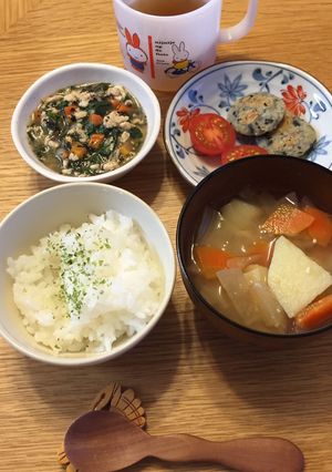 鶏ひき肉と野菜のあんかけ 離乳食完了期-レシピのメイン写真