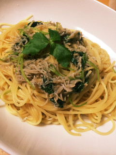 しらすとミツバの和風パスタ-レシピのメイン写真