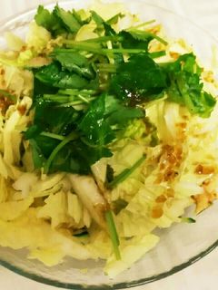白菜のサラダ-レシピのメイン写真