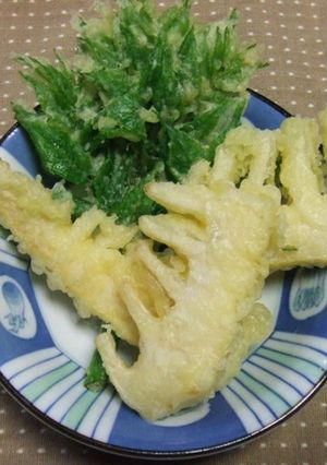 たけのことタラの芽（葉）の天ぷら　簡単-レシピのメイン写真