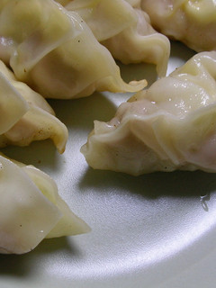 鶏肉DE餃子もどき-レシピのメイン写真