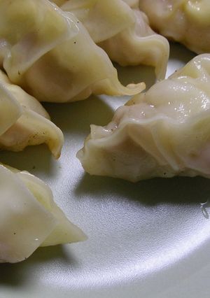 鶏肉DE餃子もどき-レシピのメイン写真