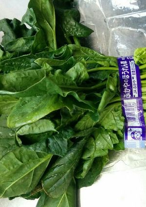 野菜を復活させる-レシピのメイン写真