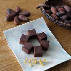 カカオ豆から作るメキシコ風チョコ＆ココア-レシピのメイン写真