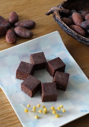 カカオ豆から作るメキシコ風チョコ＆ココア-レシピのメイン写真
