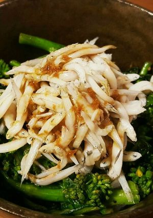 菜の花としらすとモッツァレラ丼-レシピのメイン写真