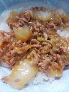 誰でも出来る!豚ひき肉と白菜のあんかけ丼-レシピのメイン写真