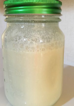 【自家製酵母】ヨーグルトの酵母液-レシピのメイン写真
