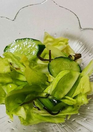 キャベツと胡瓜の浅漬け風サラダ-レシピのメイン写真