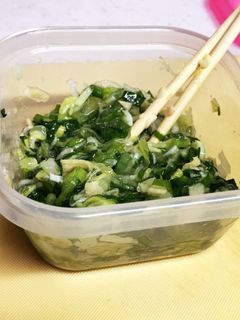 肉にスープにご飯に何にでも!ネギ塩生姜-レシピのメイン写真