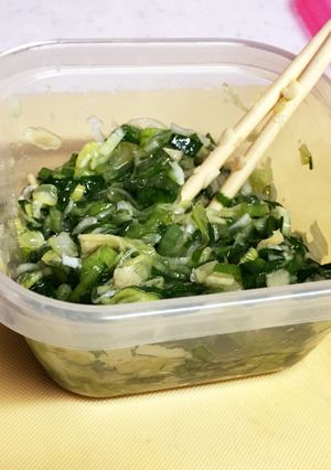 肉にスープにご飯に何にでも!ネギ塩生姜-レシピのメイン写真