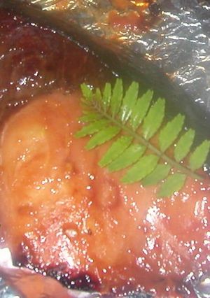 焼き鳥のタレで簡単ブリ（ワラサでも）照り-レシピのメイン写真