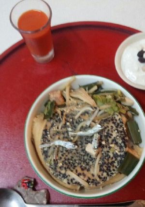 血管プラークダイエット食661（煎餅汁）-レシピのメイン写真