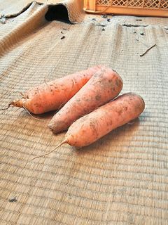 にんじんの豆乳ポタージュ★柿右衛門農園-レシピのメイン写真