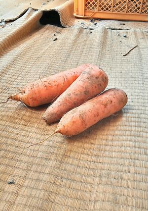 にんじんの豆乳ポタージュ★柿右衛門農園-レシピのメイン写真