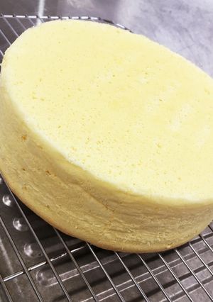 ふわっとろけるミルクスポンジ-レシピのメイン写真