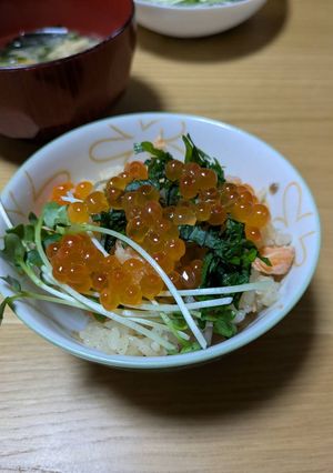 シソ&カイワレ鮭いくらのはらこめし-レシピのメイン写真