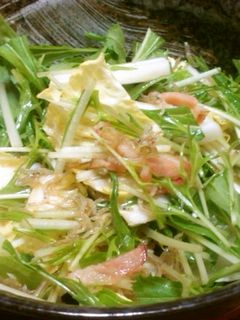 白菜とカリカリじゃこベーコンのっけサラダ-レシピのメイン写真