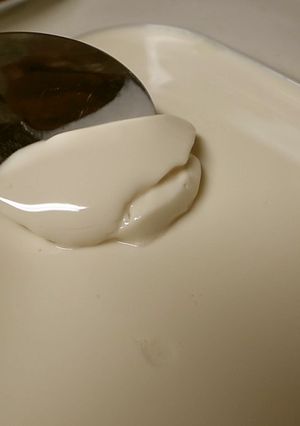 豆乳ヨーグルト 乳フリー（7品目不使用）-レシピのメイン写真