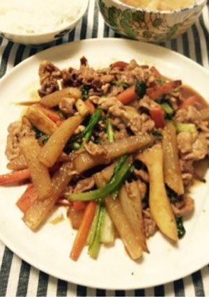 豚肉と根菜のピリ辛炒め-レシピのメイン写真