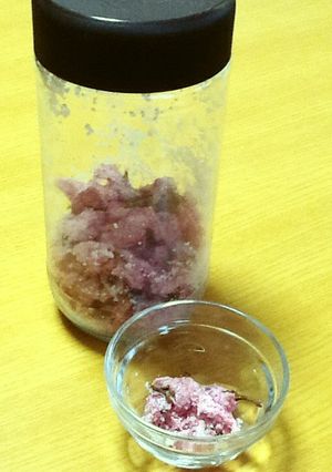 桜の塩漬け-レシピのメイン写真