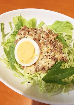 キャベツが美味しい！なったまサラダ-レシピのメイン写真