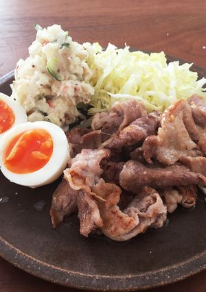 ★塩麹★お肉ふっくら生姜焼き-レシピのメイン写真