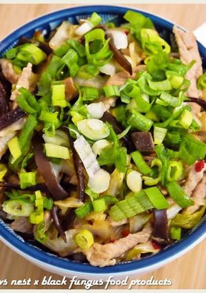 黑木耳醬炒肉絲蓋飯．柯媽媽の植物燕窩-レシピのメイン写真