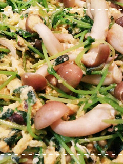 白だしで簡単！豆苗としめじの卵炒め-レシピのメイン写真