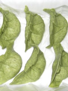 ほうれん草餃子-レシピのメイン写真