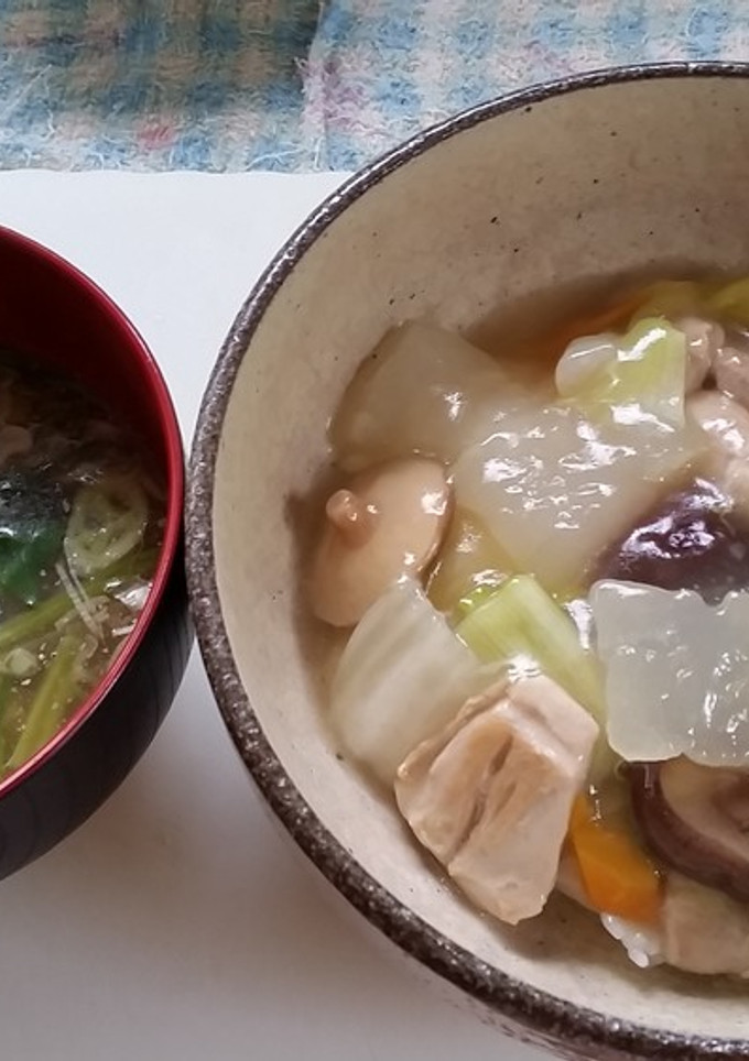鶏肉と冬瓜の中華旨煮丼-レシピのメイン写真
