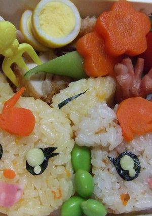 （キャラ弁）プリキュア ココ&ナッツ弁当-レシピのメイン写真